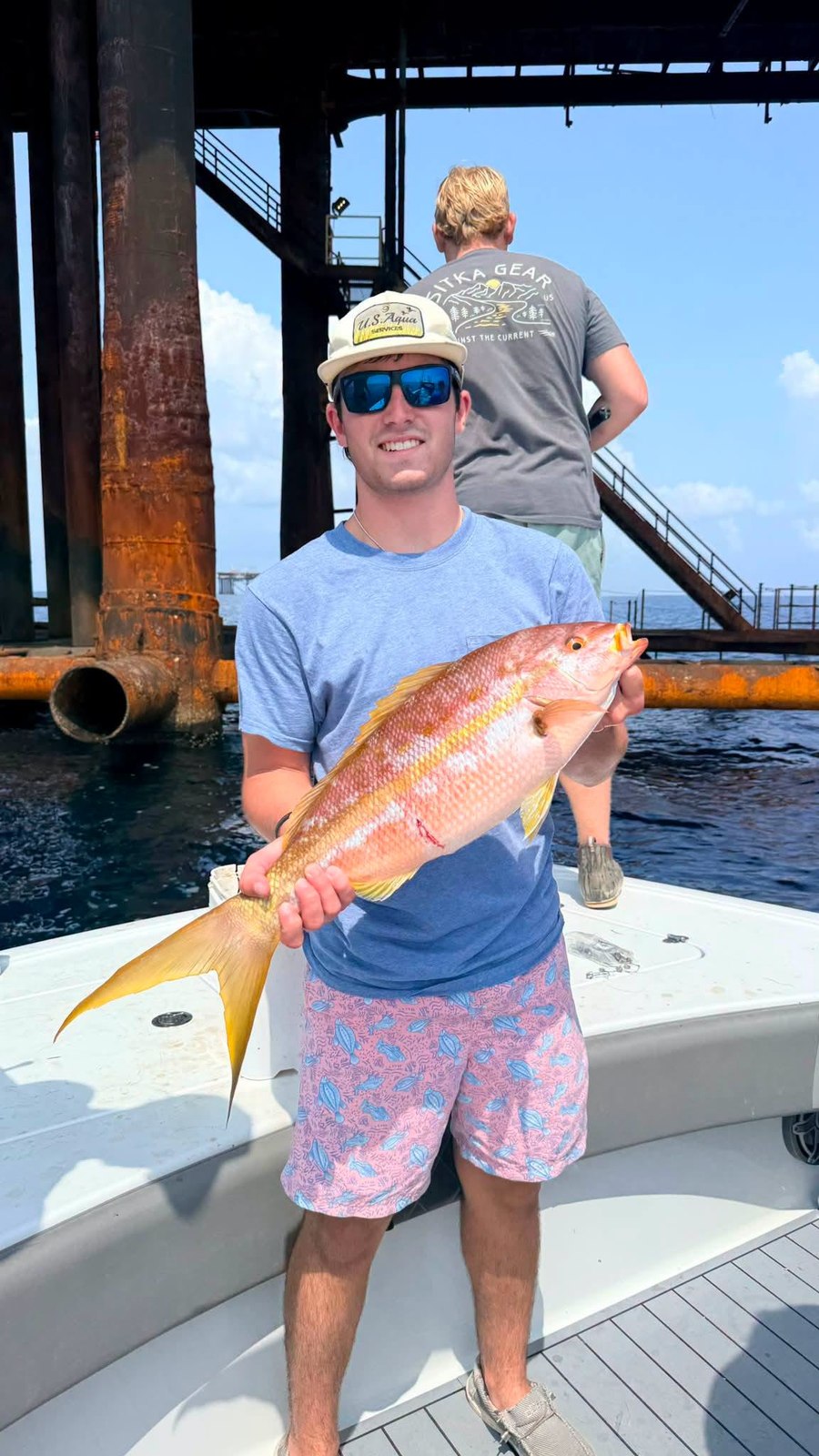 Yellowtail snapper from the DTB photo collection