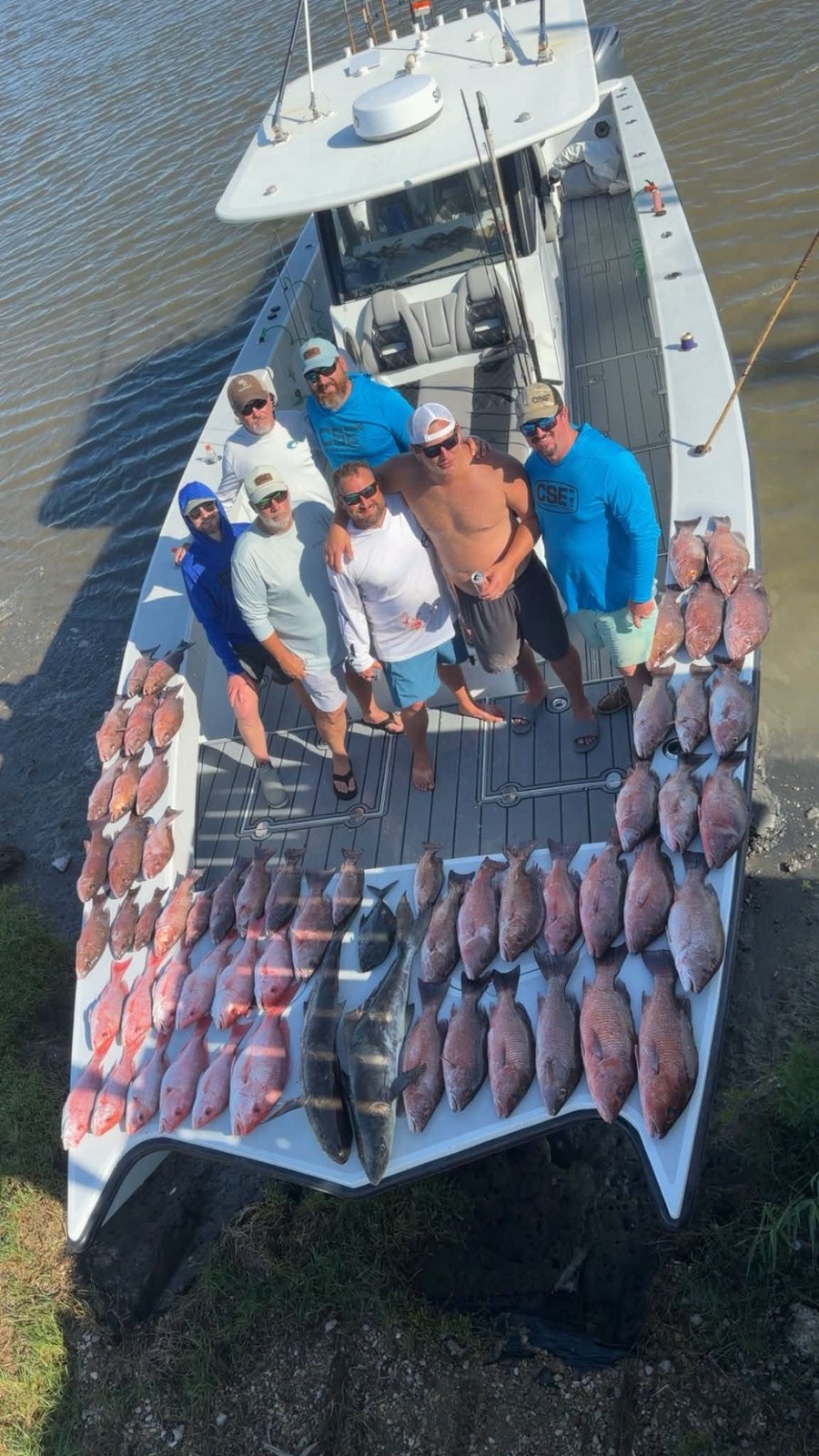 Friends with mangrove snapper on the DTB dock