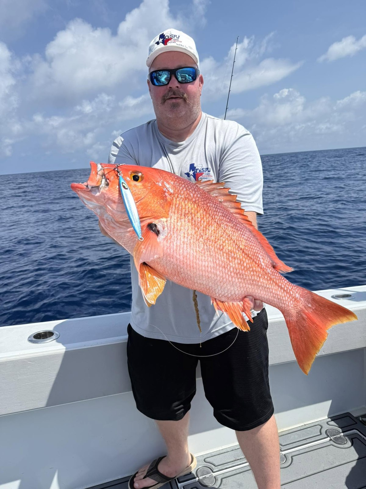 Blackfin snapper from the DTB photo collection