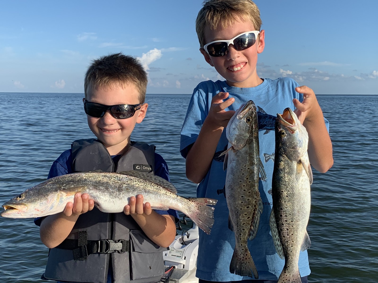 Speckled trout from the DTB photo collection