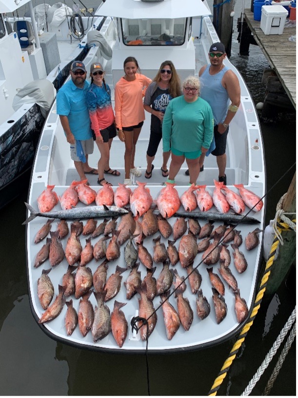 mangrove snapper