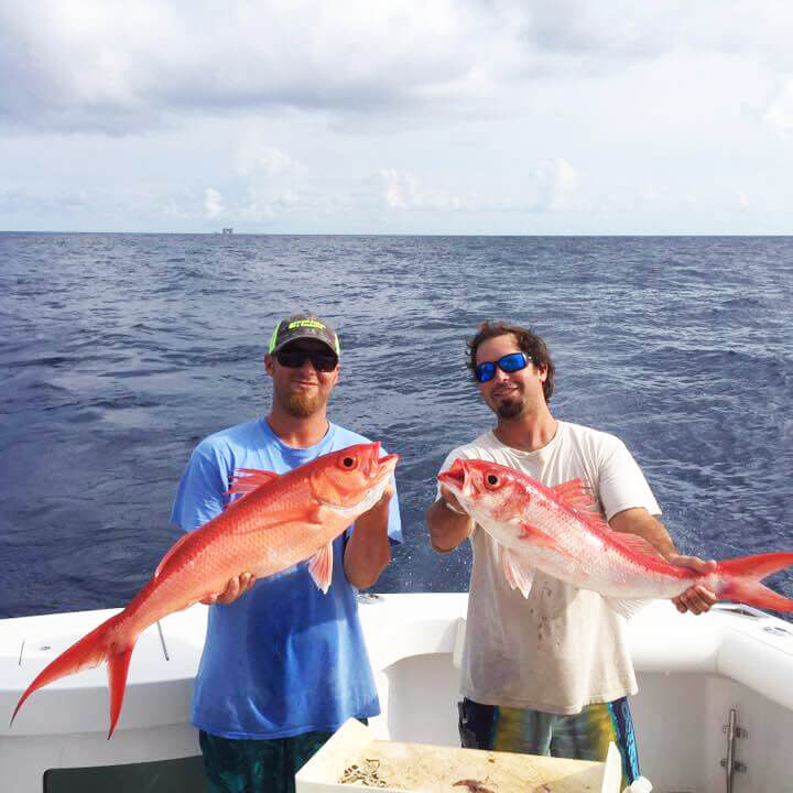 Red Snapper