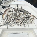 Grand Isle Fishing Charters