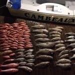 Grand Isle Fishing Charters