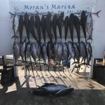 Grand Isle Fishing Charters