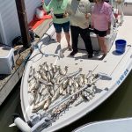 Grand Isle Group Fishing Guides