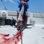 Louisiana tuna fishing