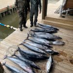 Fishing Guides Grand Isle