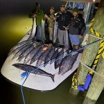 Night Fishing Trips Grand Isle